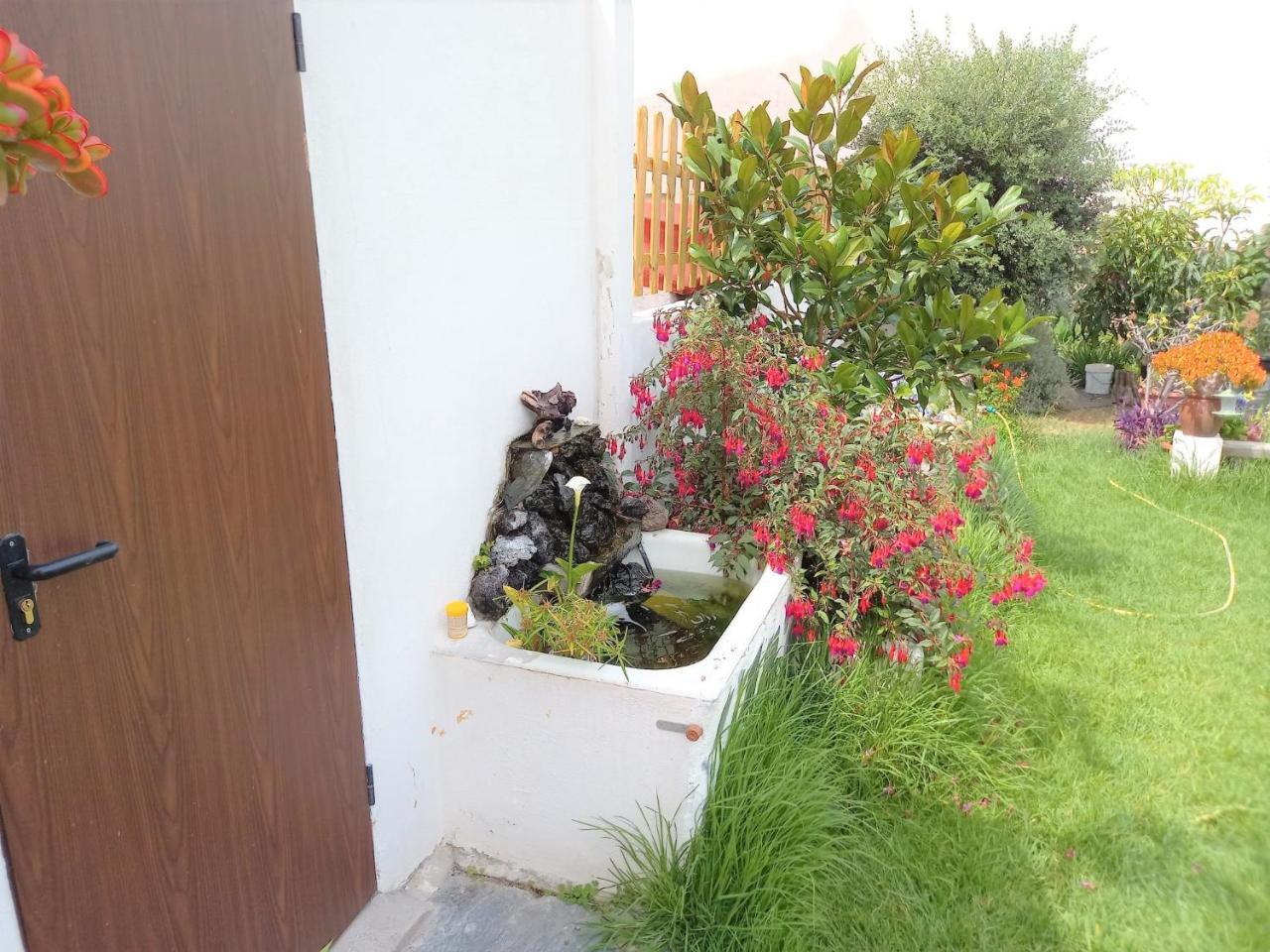 Cozy House Casa Vero Mai Icod de Los Vinos 2