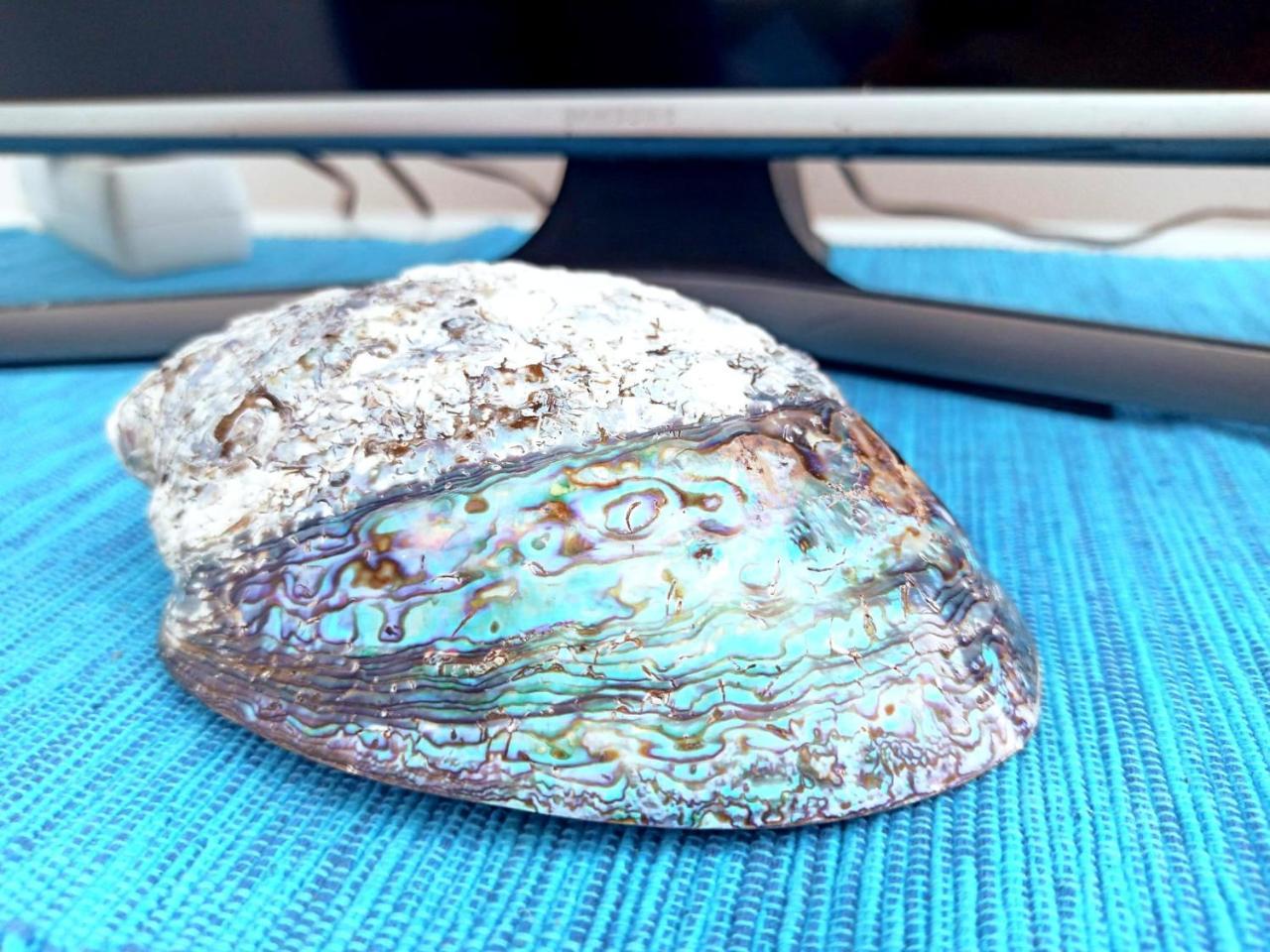 Villa Tanya - Modern 3 Bedroom House Seconds Away From the Sea 2