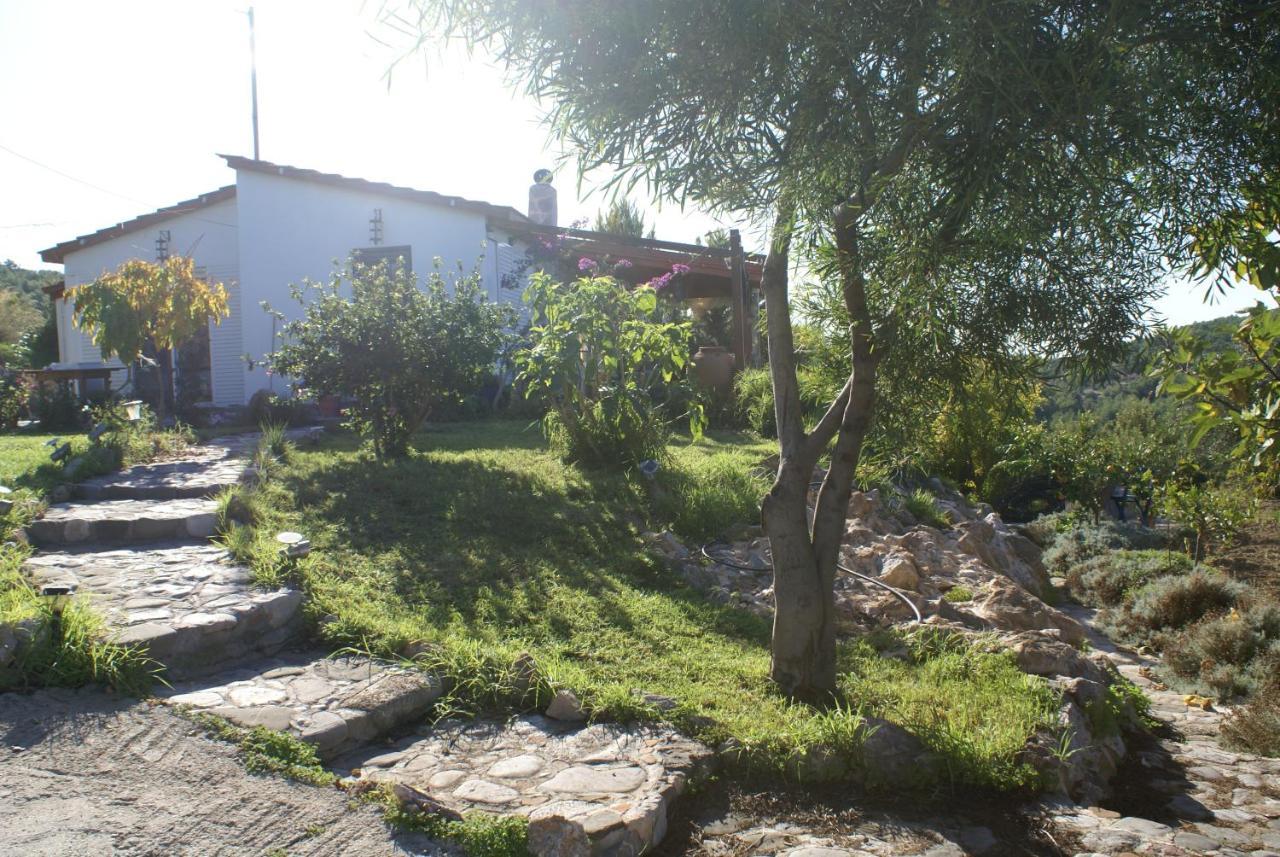 O Ioannis (Adults Only)