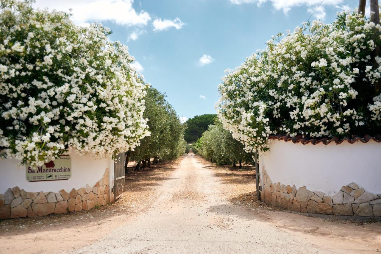 Sa Mandracchina 1