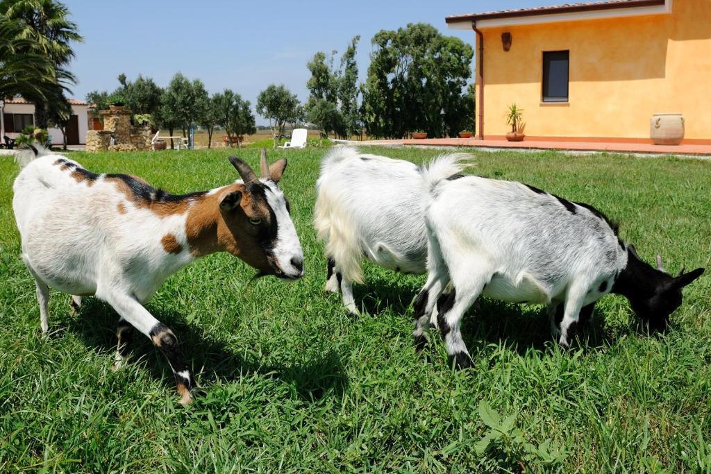 Azienda Agrituristica la Genziana 2