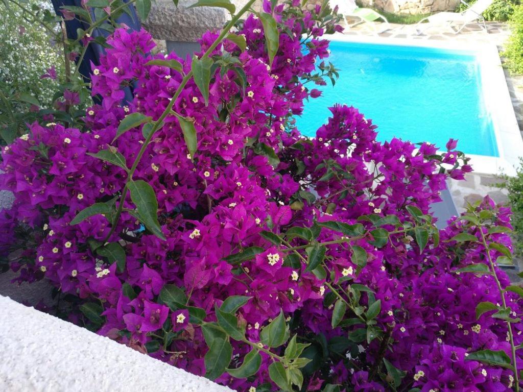 Casa Zeralda, Privater Pool 2