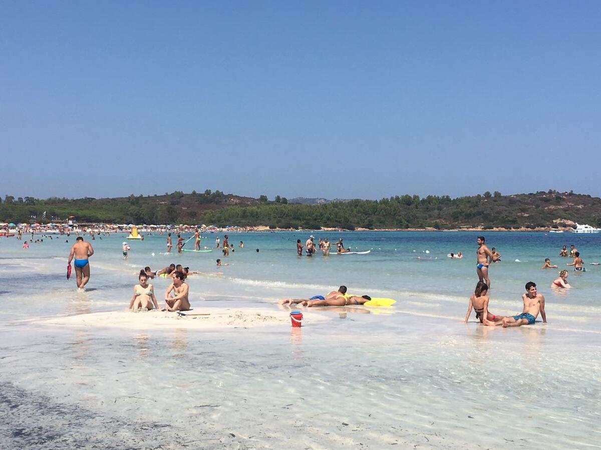 Turquoise & Wood Stylish House 23