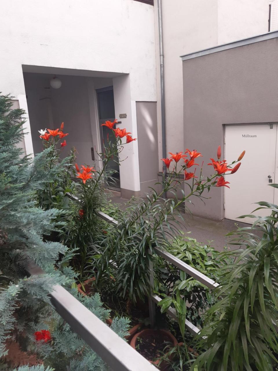 Apartment Dahlia Vienna 1