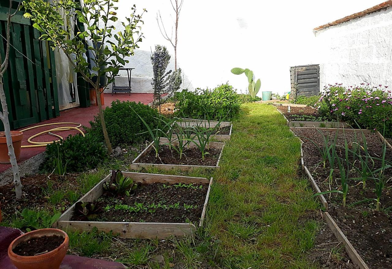 B&B Il Cortile Del Sole 2