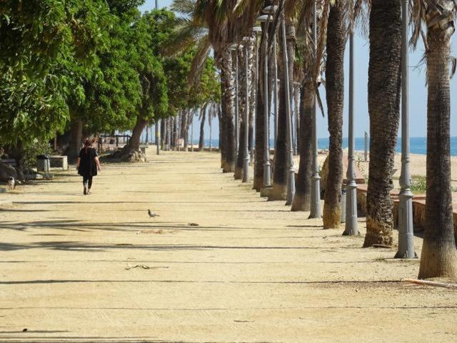 Duplex En Frente de la Playa Al Lado de Barcelona 1