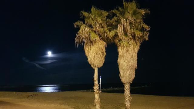 Espectacular Apartamento Cerca de Barcelona Con Free Wifi 1