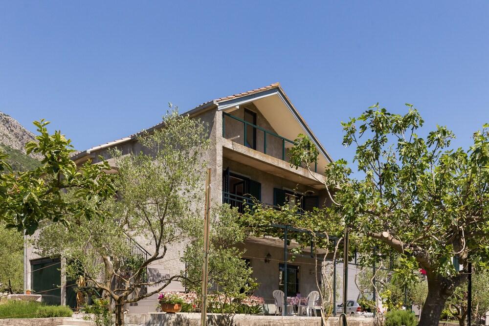 Apartment Laurel Leaf