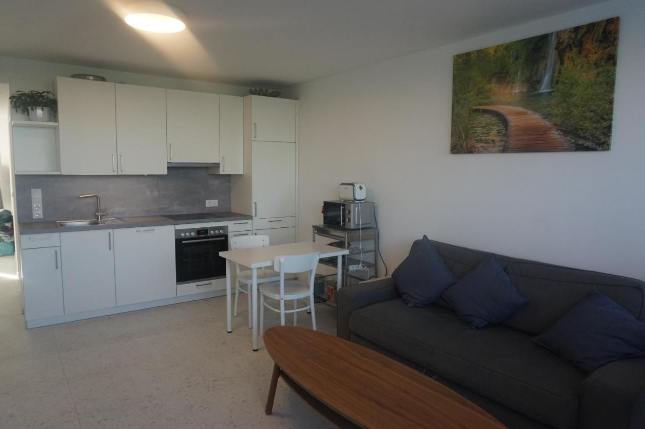 Augartenblick Penthaus 17 - Blick Zum Riesenrad 2