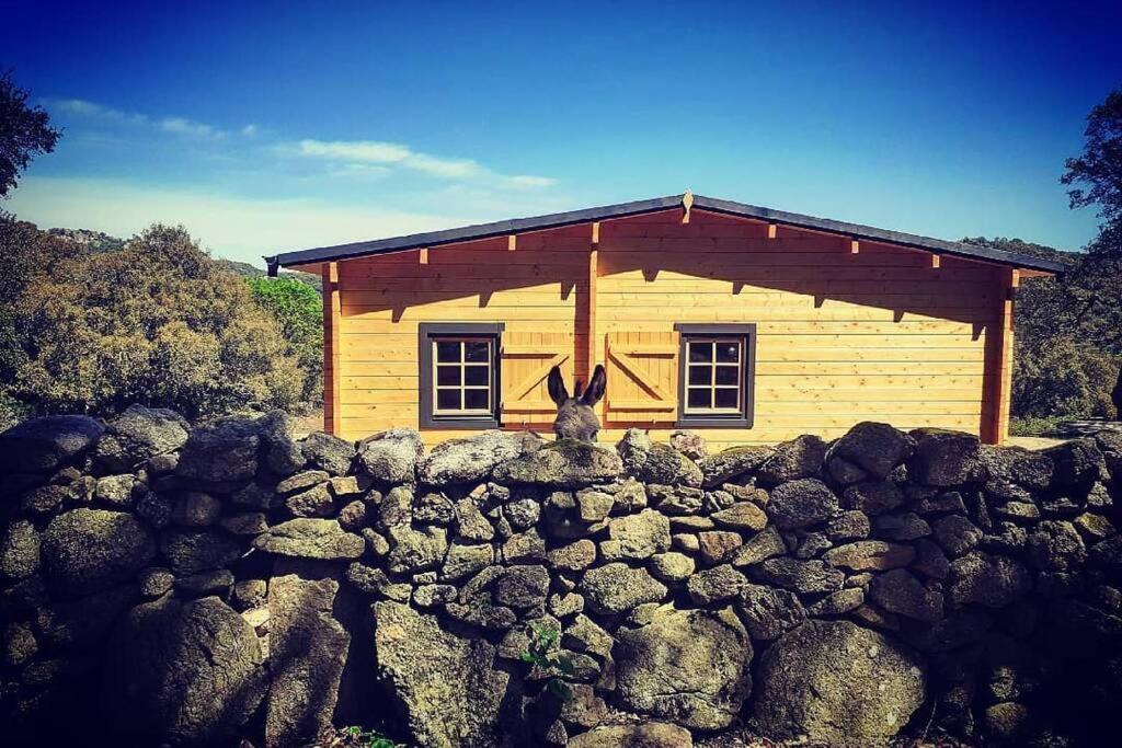 Eco Lodge Nella Natura Con Piscina Privata "La Grande Quercia"