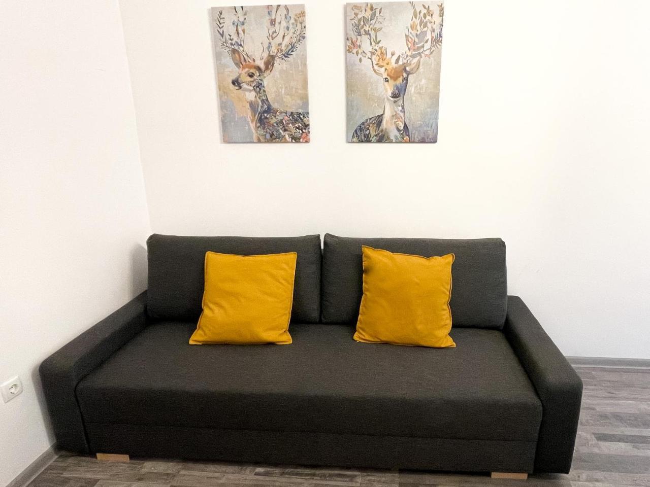 Cosy Studio Near Central Station 2