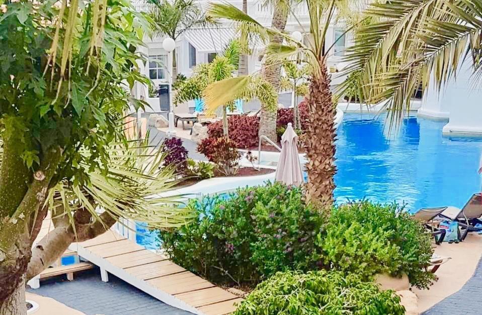 Beachfront Amazing Apartment