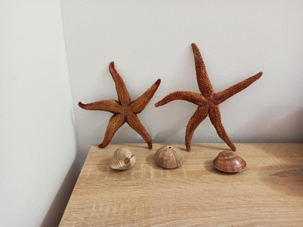 Green Hill Apartment 1