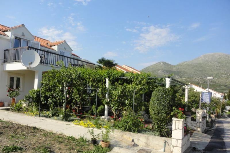 Guest House Pavkovic 2