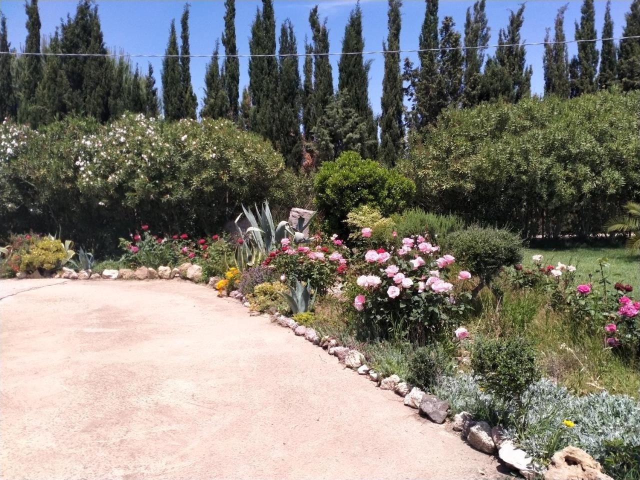 Le Rose (Adults Only) 1