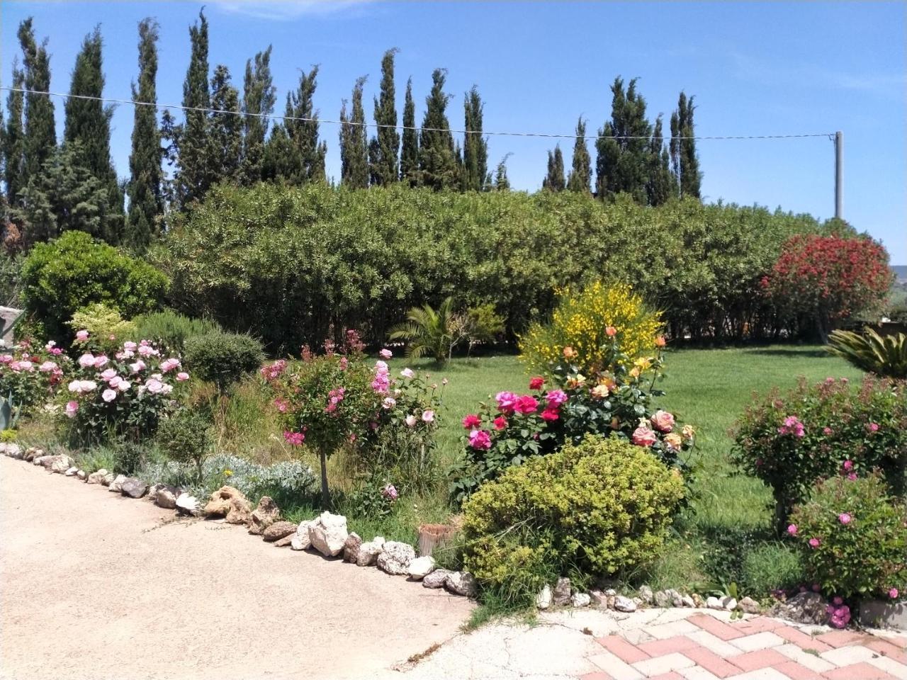 Le Rose (Adults Only) 2