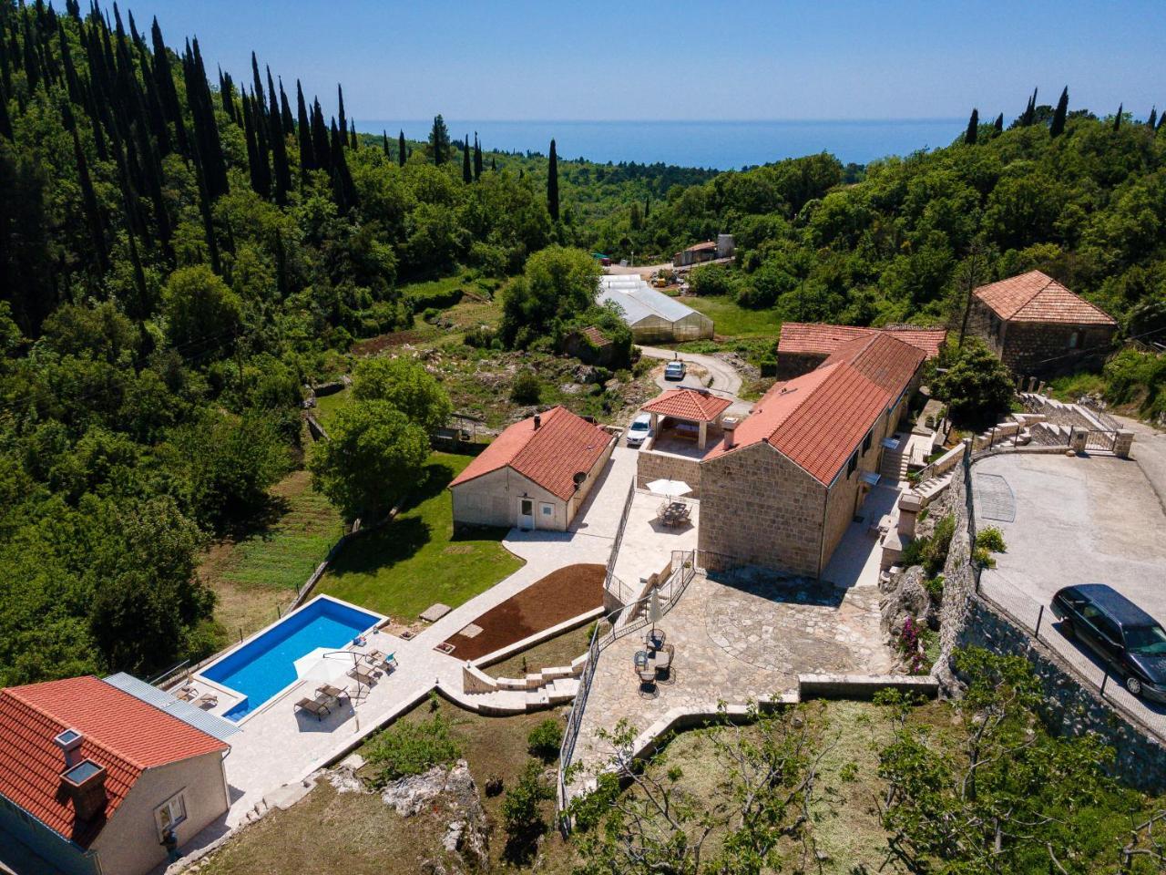 Villa Konavoski Miri 2