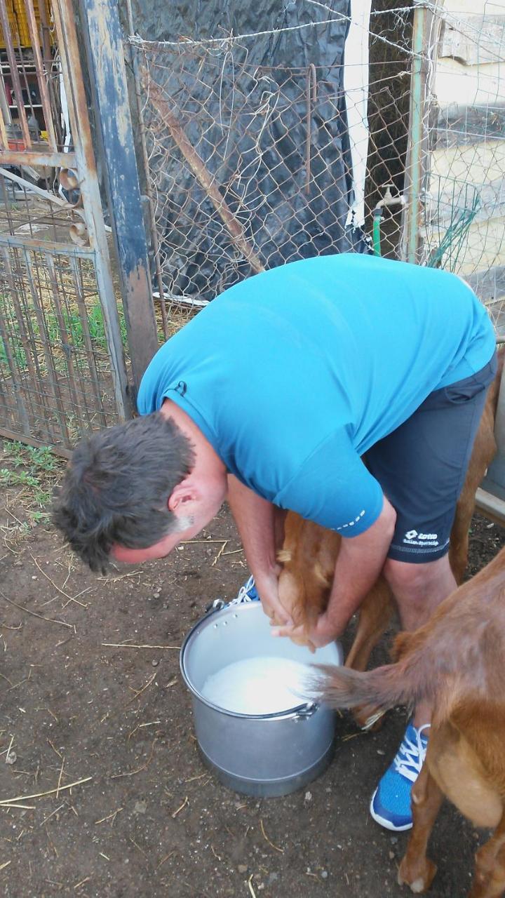 Nurazzolas (Adults Only) 2