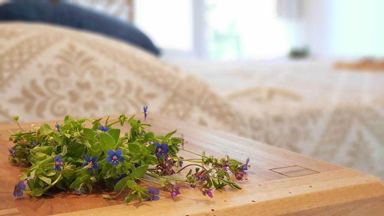 Montilisciu Cottage 2