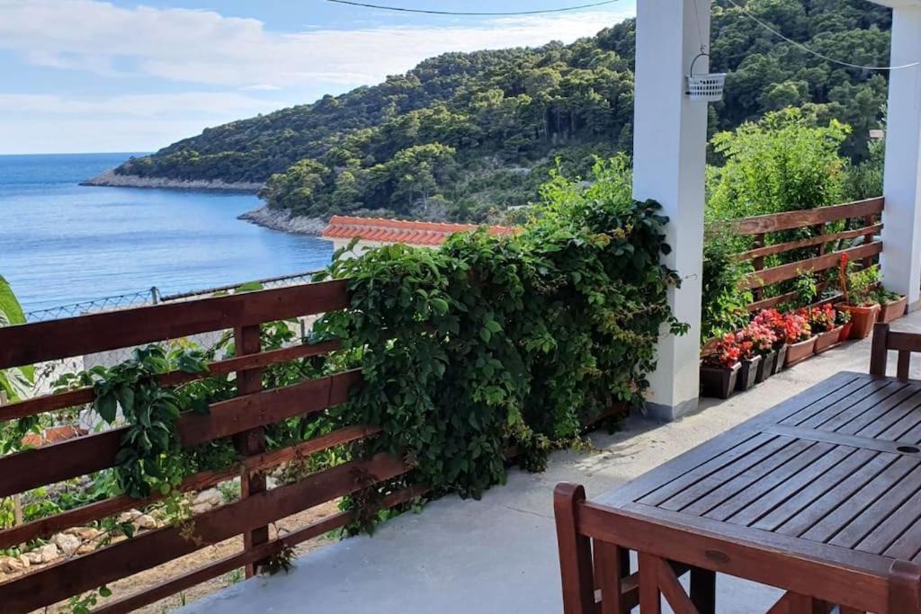 Apartment Kristic - Saplunara, Mljet 2