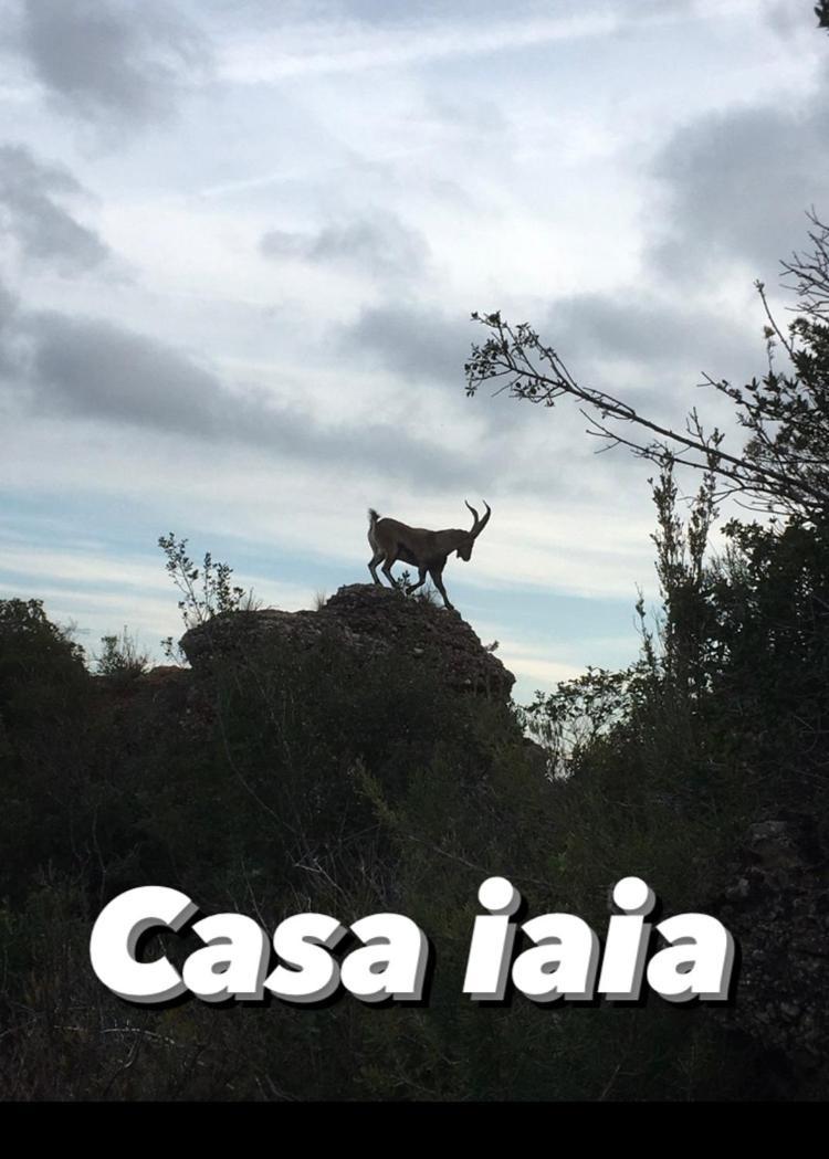 Casa Iaia 2