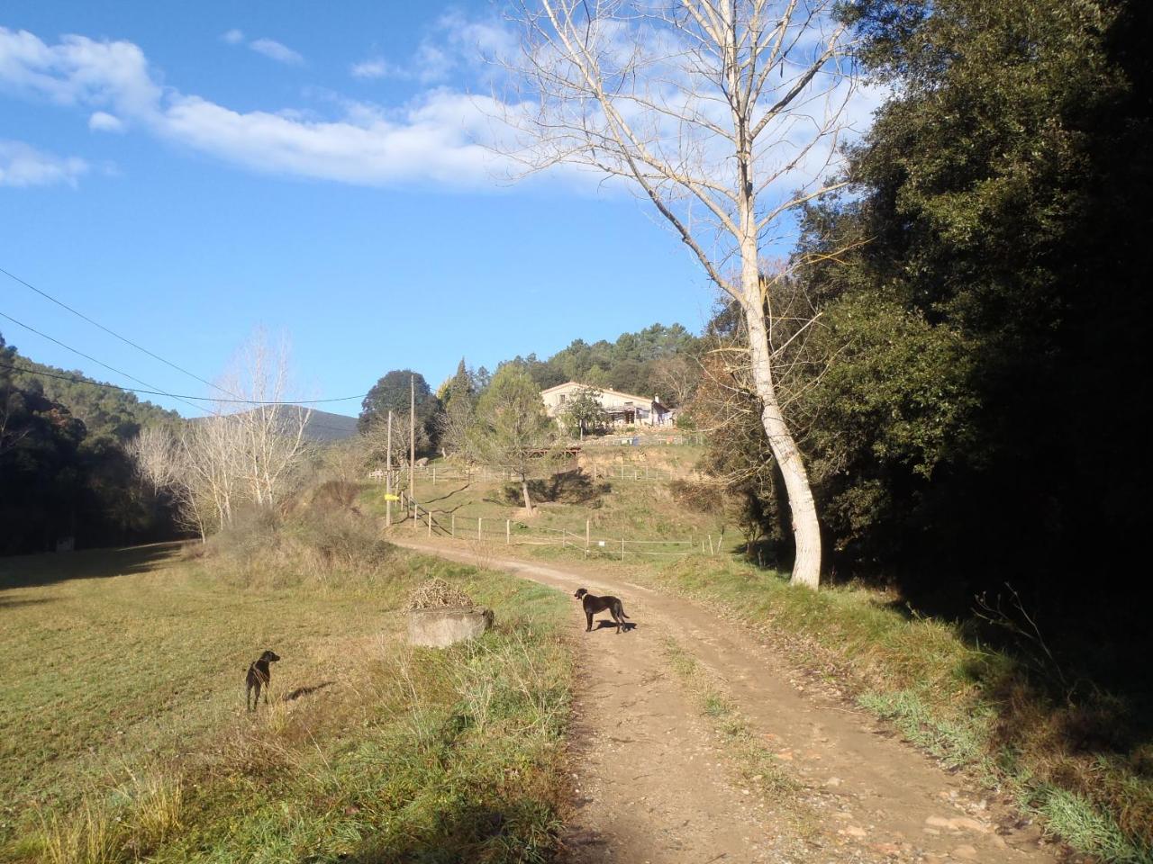 Can Parroquia (Adults Only) 1