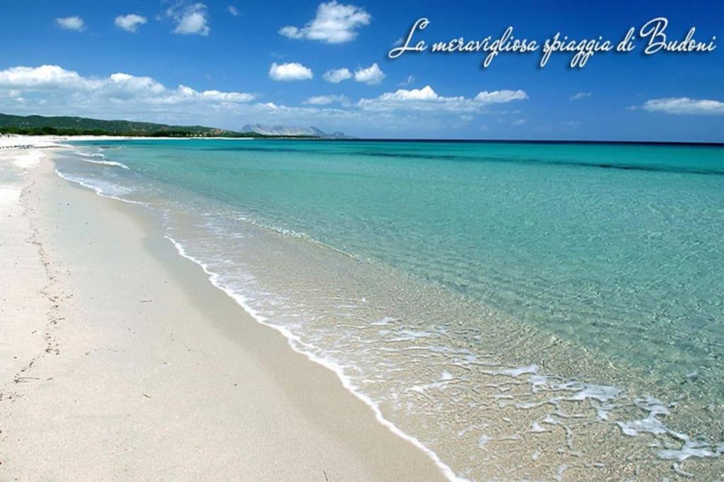 Villetta Indipendente Al Mare 1