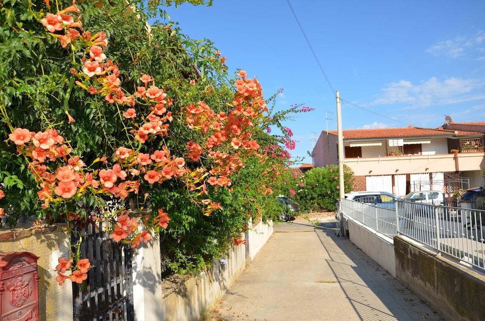 Via Delle Ginestre - Fpo-Ginebig