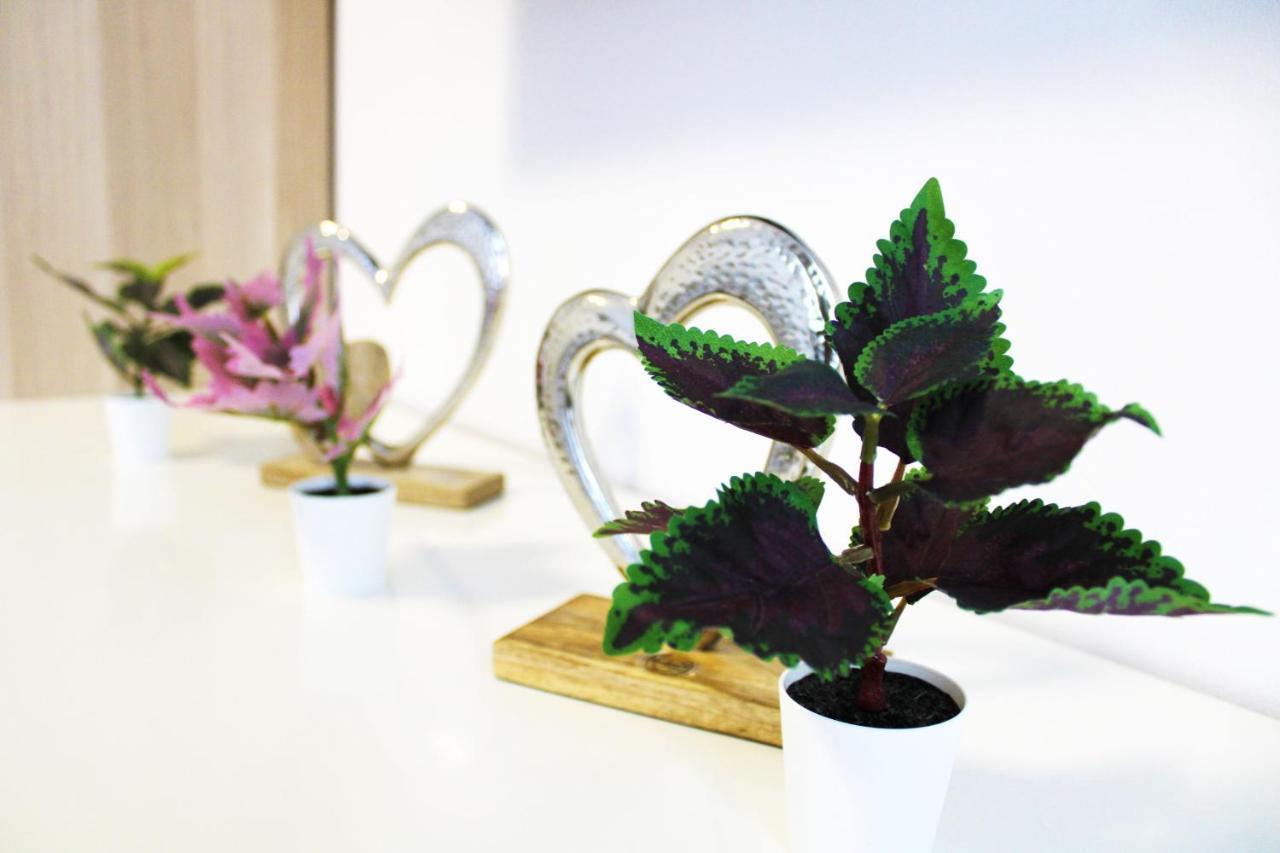 Goldberger Apartment 1020 2