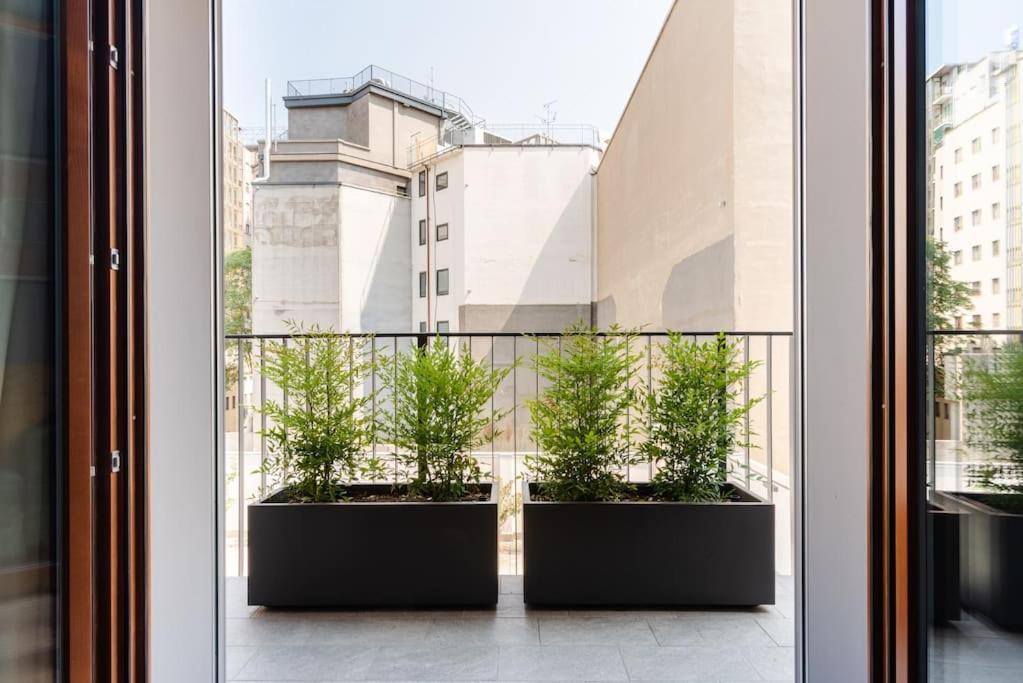 The Wallpaper House 2