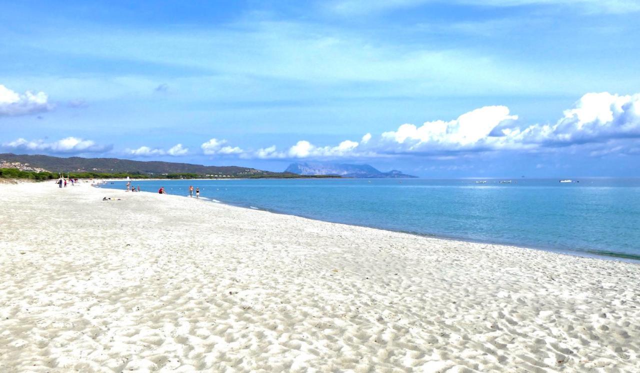 Graziosi Appartamenti a Budoni Con Aria Condizionata a Soli 300 Mt Dal Mare 1