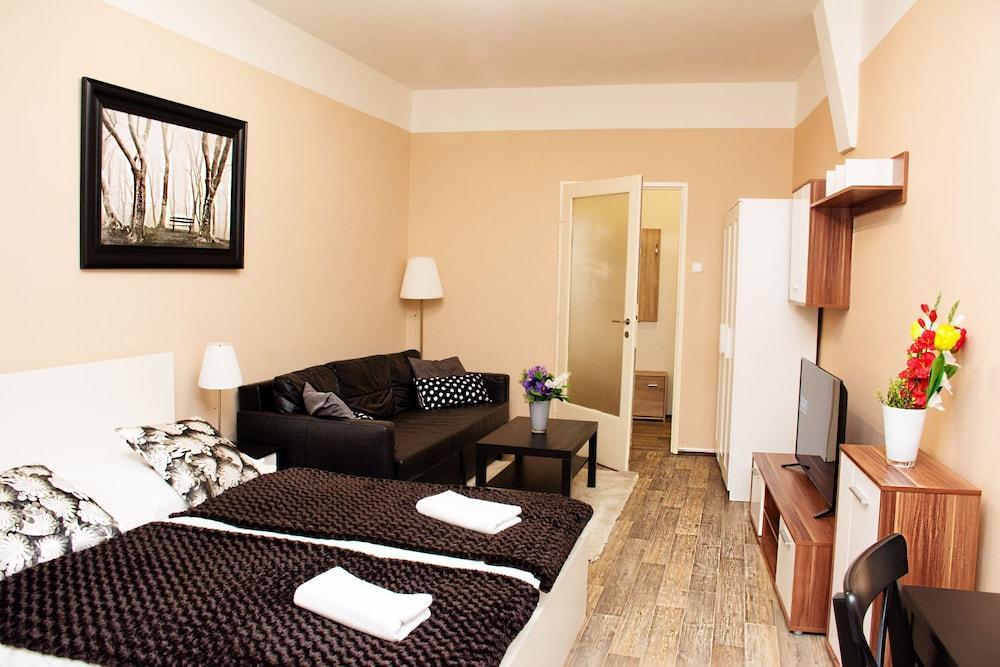 Wenceslas Square Apartment 2