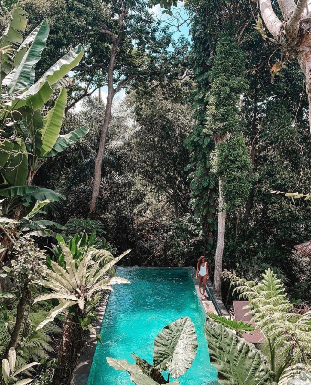 Aji Lodge Bungalow (Adults Only)