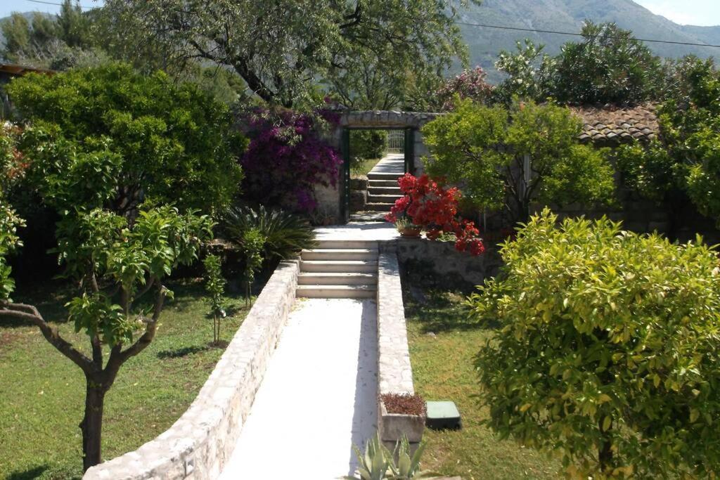 Charming Apartment for 3 Pax in Cavtat 1