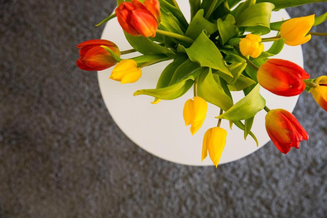 Vacation House Pietra 2