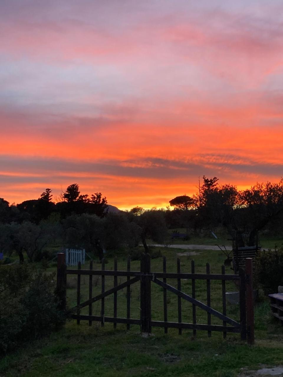 Agriturismo Is Conchisceddas (Adults Only) 2