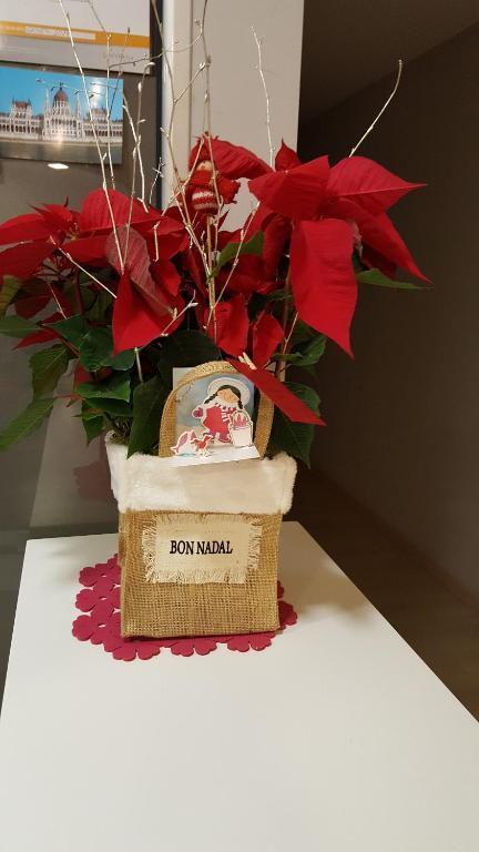 Hostal Aslyp 114 Barcelona 1