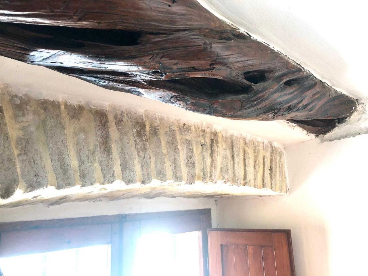 Stella Marina Appartamento 1