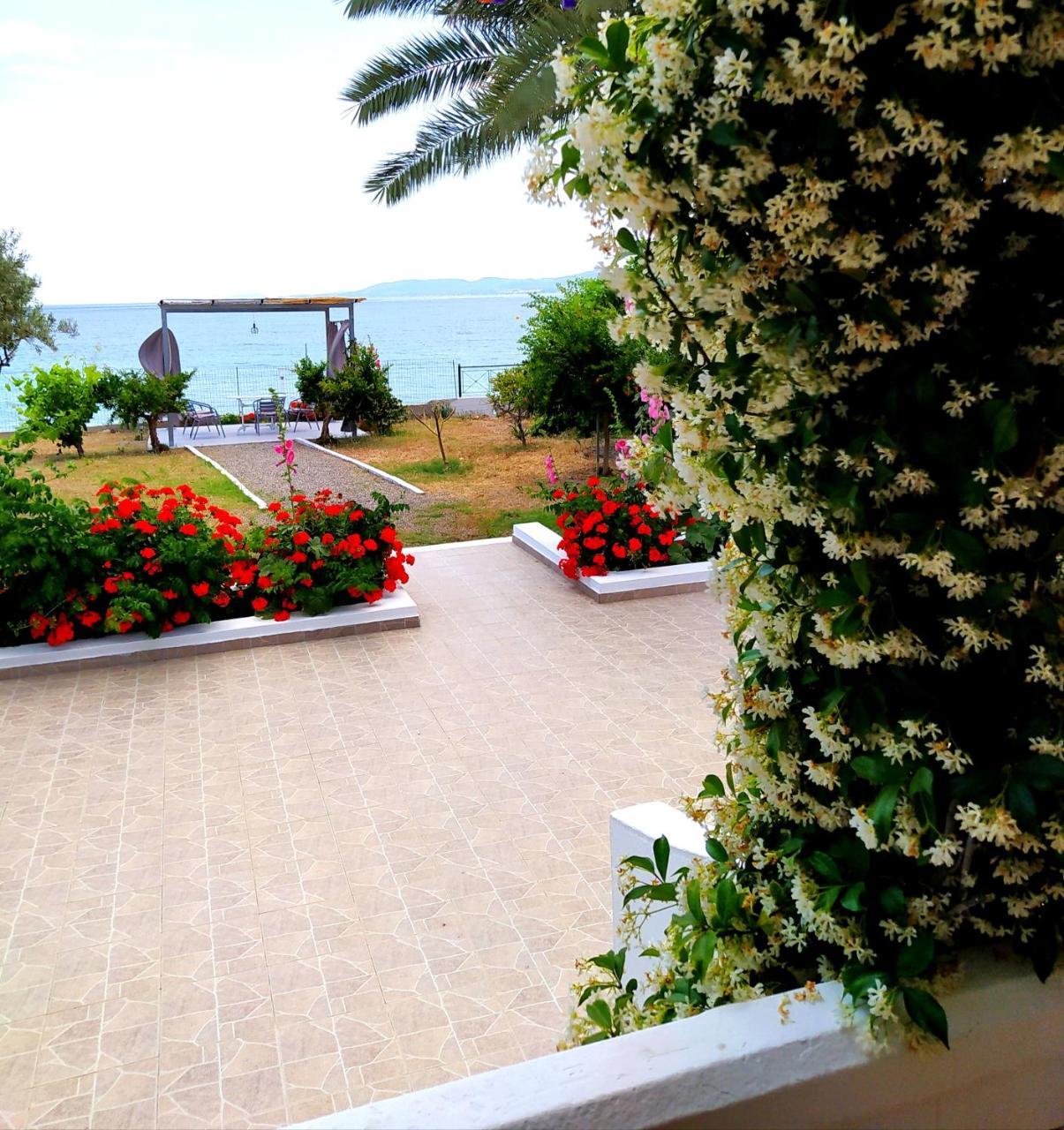 Villa Stella Family House 1