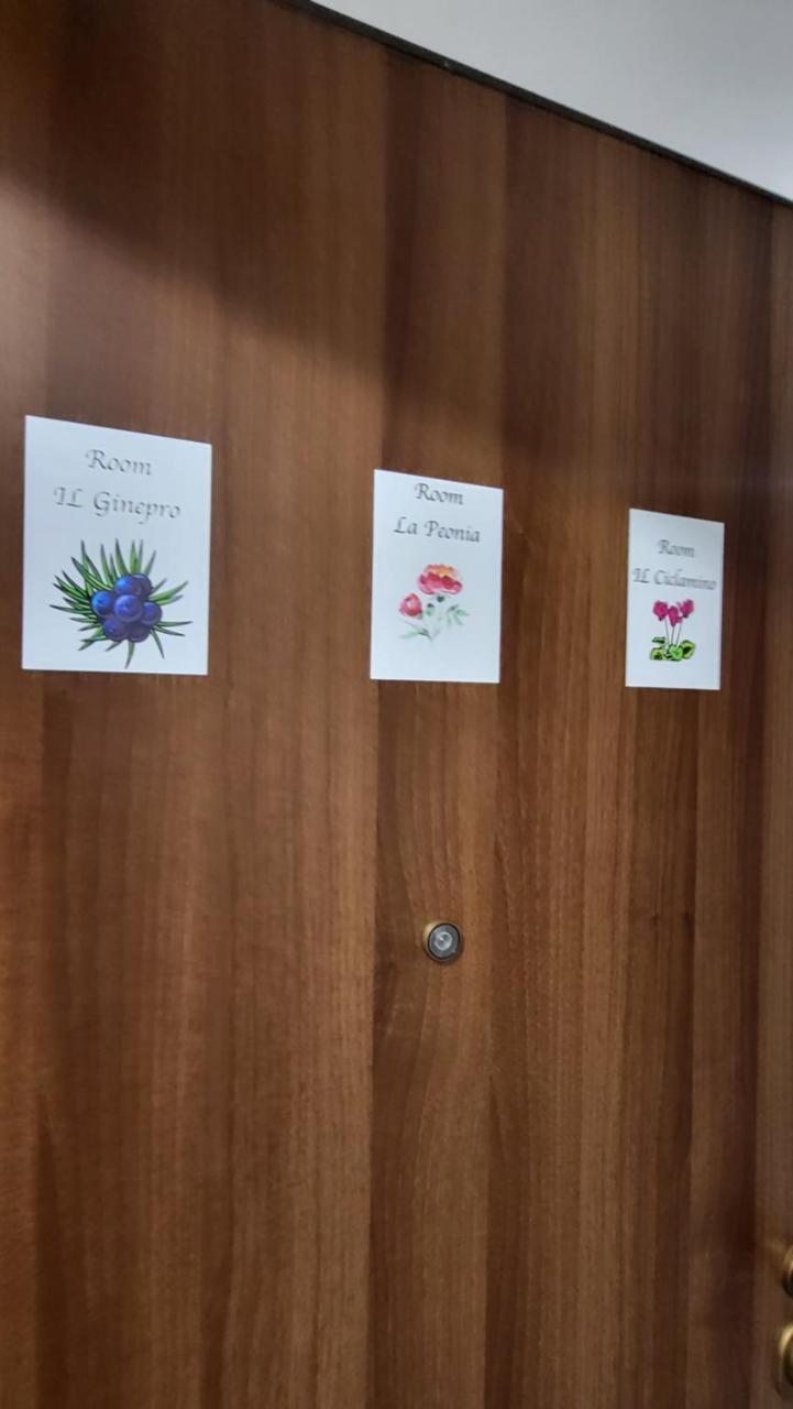 Central Rooms Best Vacation Ever 2