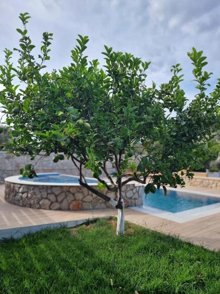 Villa Mata - 600m² with Private Pool And Jacuzzi 1