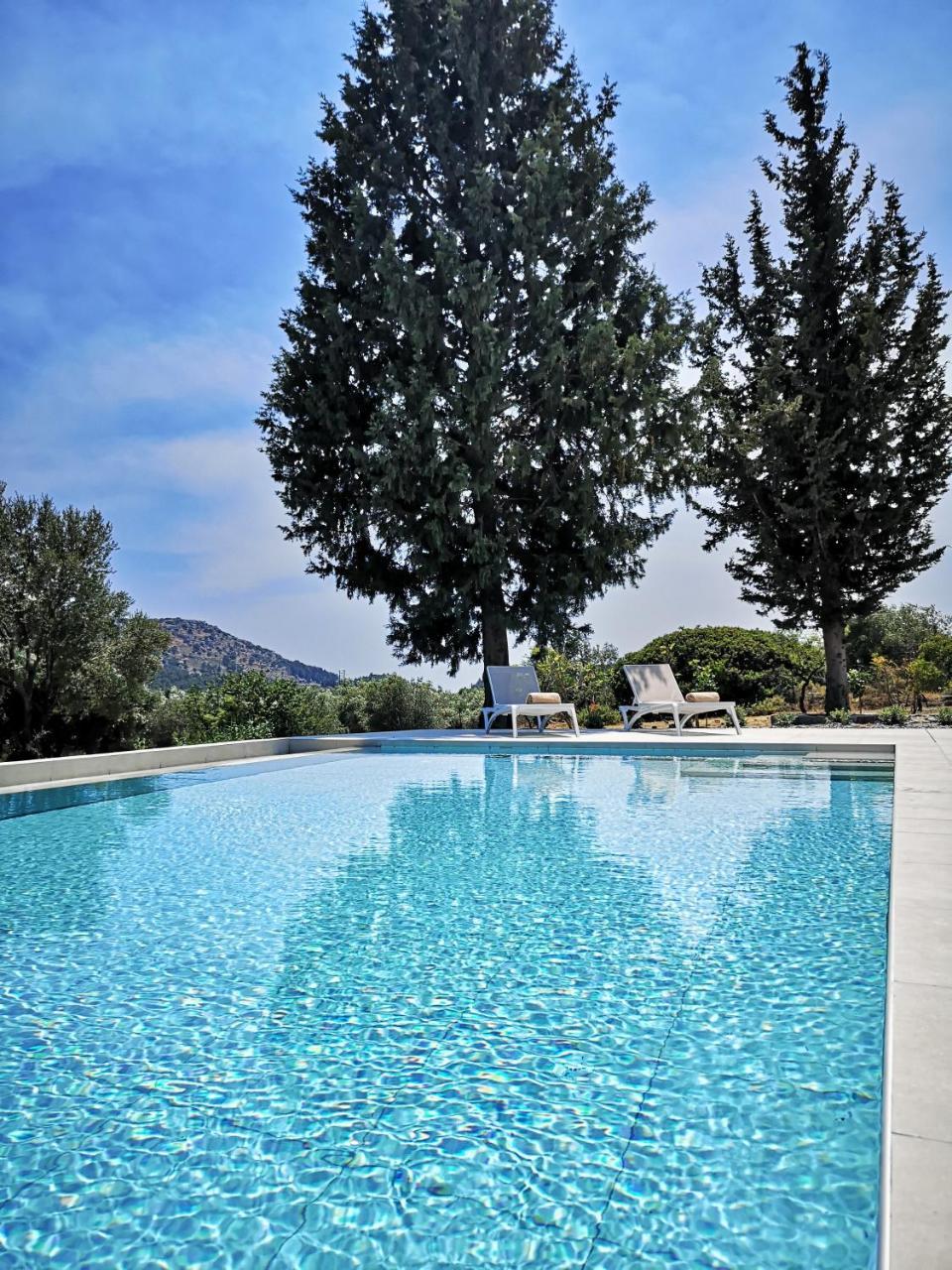 Chrysanthi Villa, Living in Nature 1