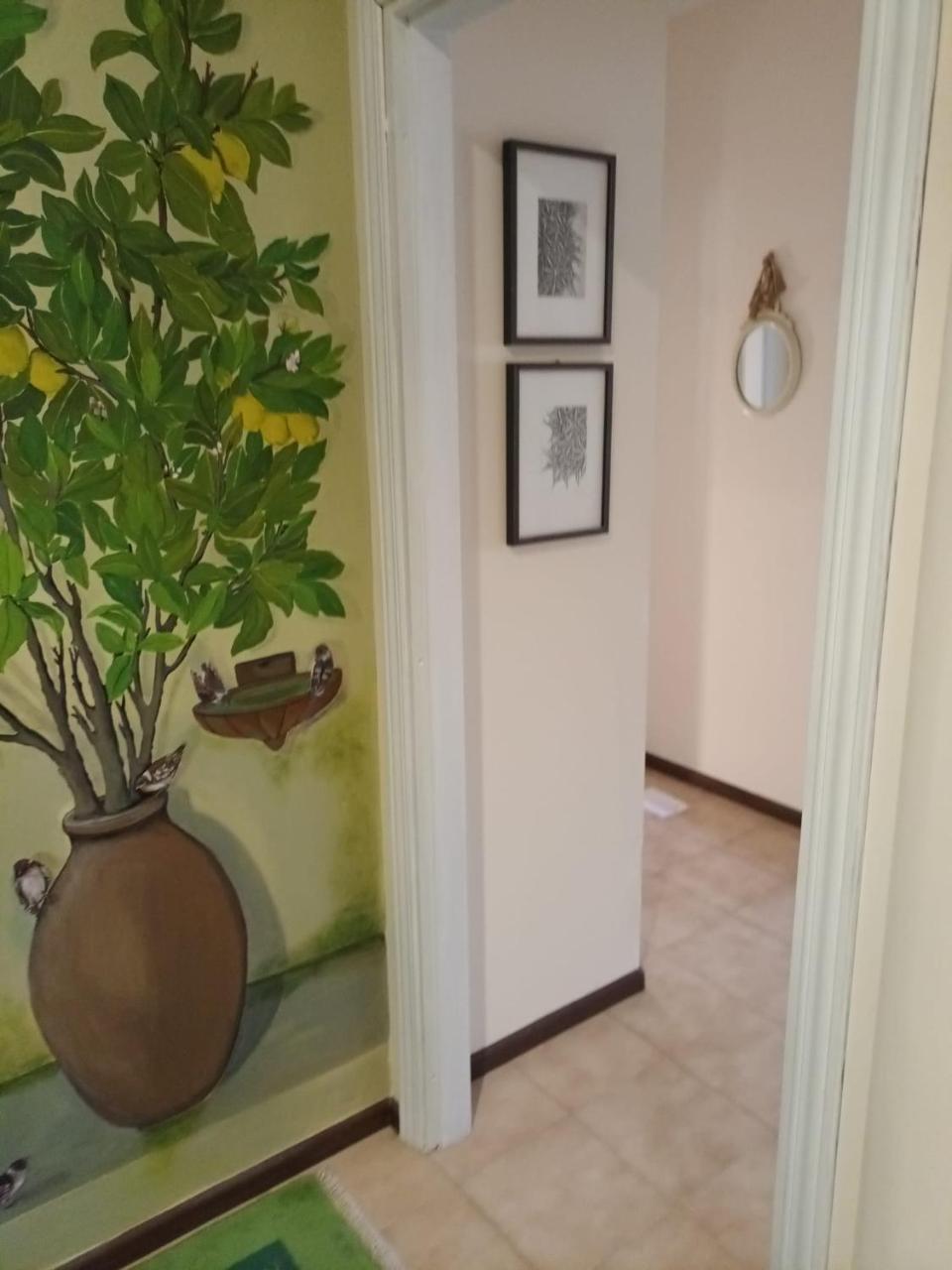 Dietro Molentargius 2