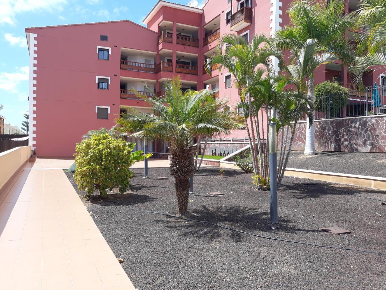 El Mocan de Thiago Palm Mar 2