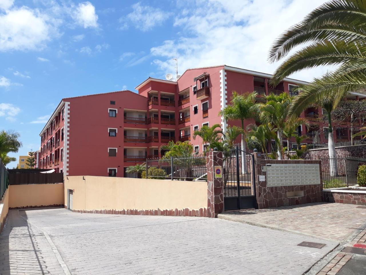 El Mocan de Thiago Palm Mar 1