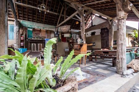 Wave & Chill House (Adults only)