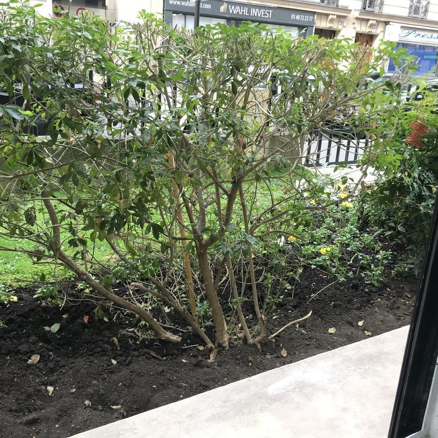 Trocadero Cozy Studio