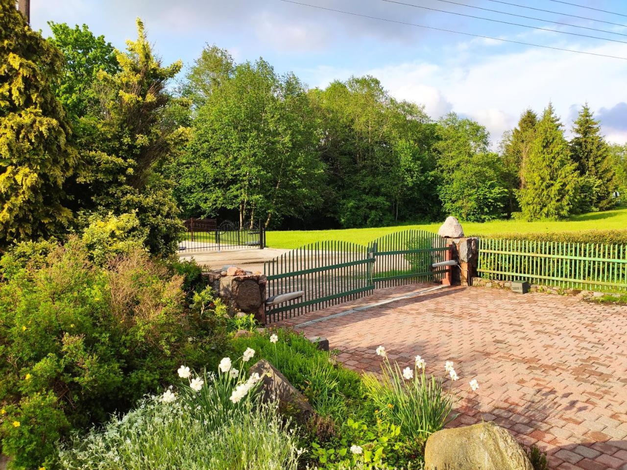 Spacious 110 M2 Apartment with Forest View 2