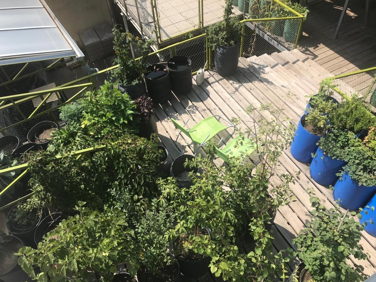 Wiener Gaste Zimmer 2