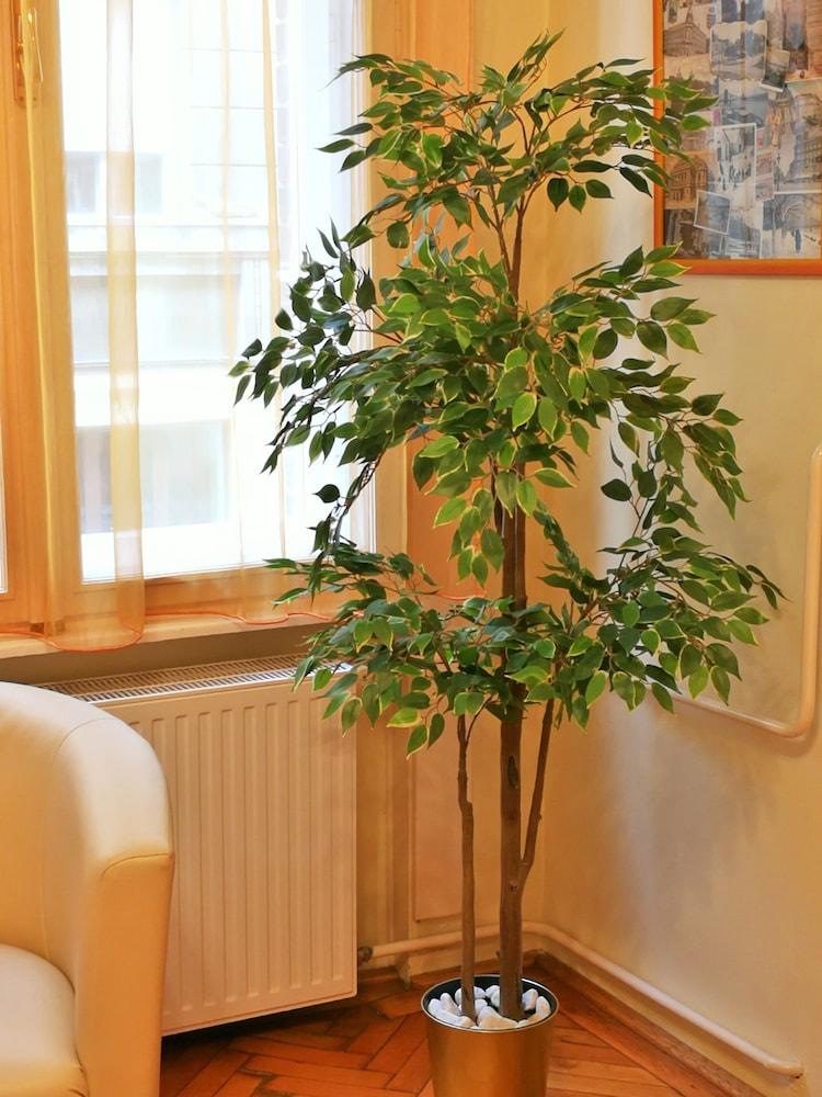 Paprika Apartment Studio 1